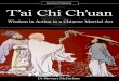 T‟ai Chi Ch‟uan: Wisdom in Action in a Chinese … · Ching and Founder of Taoism. From the Temple of the Three Immortals, Chonburi ... T‟ai Chi Ch‟uan: Wisdom in Action in