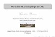 PO's and NLO couplings at LHC - …personalpages.to.infn.it/~giampier/HTFrei.pdf · PO’s and NLO couplings at LHC ... some pre-deﬁned set-up) into some “secondary quantities