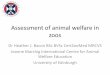 Assessment of animal welfare in zoos - The … of animal welfare... · Assessment of animal welfare in zoos ... •Genetics, husbandry, allergies? ... behavioural repertoire, enrichment