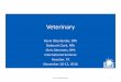 Building Relationships with Veterinarians - Amazon S3 · Building Relationships with Veterinarians ... • Offer pharmacy services to veterinarian clinical staff ... Absorption of