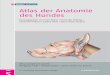 Anatomie für Studium Atlas der Anatomie des Hundes · Atlas der Anatomie des Hundes Atlas der Anatomie des Hundes ISBN 978-3-89993-079-5 Anatomie für Studium und Praxis ... XI),