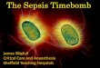 The Sepsis Timebomb - WordPress.com · The Sepsis Timebomb James Wigfull ... Shock to effective antibiotic time and mortality in septic ... Scan to theatre booking F: 