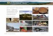 The BC Forest Safety Council Annual Report │2013 · Annual Report │2013* ... Whether at the Truck Loggers annual meeting, ... Strategic Forestry Initiatives , International Forest