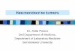 Neuroendocrine tumors - Semmelweis Egyetem | Kutatósemmelweis.hu/belgyogyaszat2/files/2016/05/20160316_EN_Endocrin... · Neuroendocrine tumors Dr. Attila Patocs 2nd Department of