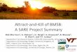Attract-and-Kill of BMSB: A SARE Project Summary Resources/BMSB-IW… · Attract-and-Kill of BMSB: A SARE Project Summary Rob Morrison1, ... Early, mid, and harvest ... 2015 Summary