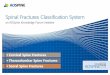 Spinal Fractures Classification System - .Spinal Fractures Classification System an AOSpine Knowledge