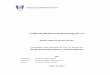 A Maturity Model for Implementing ITIL v3 - Técnico … · A Maturity Model for Implementing ITIL v3 ... This thesis proposes a maturity model to assess an ITIL implementation and