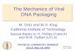 The Mechanics of Viral DNA Packaging - ortiz.caltech.edu · DNA Packaging M. Ortiz and W.S ... Structure of encapsidated genome. Olson et al., Virology, ... Cell Biology, 1998) Michael