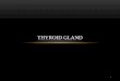 Thyroid gland - Med Study Groupmsg2018.weebly.com/uploads/1/.../2-_thyroid_gland_anatomy_histology... · •Parathyroid glands. •Inferior thyroid ... Superior thyroid artery: •The