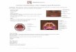 Velopharyngeal Mechanism Anatomy and … Word - Velopharyngeal Mechanism Anatomy and Physiology (English).docx Created Date 3/23/2017 5:32:00 PM 