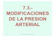 7.3.- MODIFICACIONES DE LA PRESION ARTERIAL · 24/1/11 ALF)FUNDAMENTOS"BIOLÓGICOS"10/11" 4 Presión arterial sistólica: corresponde al valor máximo de la tensión arterial en sístole