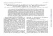 Cell Wall Composition of …jb.asm.org/content/146/2/527.full.pdf · CellWallCompositionofMicromonosporaolivoasterospora, Micromonosporasagamiensis, andRelatedOrganisms ... hydrolysis,