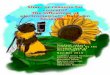Sham or reasons for concern? The influences of ... · concern? The influences of electromagnetic fields on honeybees Student report commissioned by the Science shop of ... biology