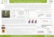 Genetics of Growth in Teak Clonal Seed Orchard … et al Poster... · Genetics of Growth in Teak Clonal Seed Orchard Families and Provenances in Contrasted Tropical Sites Roberto