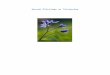ank5a.files.wordpress.com€¦  · Web viewIlyen például az aranyos baraboly (Chaerophyllum aureum), a baranyai peremizs (Inula spiraeifolia), az illatos hunyor (Helleborus odorus),