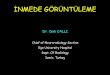 İNMEDE GÖRÜNTÜLEME - Anasayfa | TRD Türk … · İskemik (%80) Hemorajik (%20) İnme taklitleri. İNME TAKLİTLER 