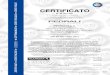 CERTIFICATO - Pedrali · CERTIFICATO Nr 50 100 13921 Si attesta che / This is to certify that IL SISTEMA DI GESTIONE AMBIENTALE DI THE ENVIRONMENTAL MANAGEMENT SYSTEM OF
