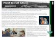 Red Devil Mine - blm.gov€¦ · Red Devil Mine . February 2016 . This newsletter provides updates on the environmental project at the Red Devil Mine, an abandoned cinnabar mine and
