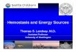Hemostasis and Energy Sources LENDVAY.ppt - … · • R/o bleeding diathesis/Rx • Adeqqpuate exposure • Instrument preparedness ... • Time intensive • Technicallyygg challenging