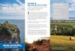 BAY OF FUNDY HOME TO THE WORLD’S HIGHEST … · AND THE MOST EXTREME TIDAL ENVIRONMENT ON EARTH. T he world’s highest tides carve dramatic cliffs, creating ... Bass River Debert