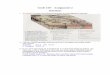 GEOE 218.3 Engineering Geology Department of Civil ... · GeoE 218 – Assignment 2 Solutions 1. (6 marks) Consider the following geologic and stratigraphic features. a) List the