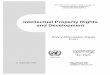 Intellectual Property Rights and Development · Intellectual Property Rights and Development – Policy Discussion Paper UNCTAD/ICTSD NOT FOR CITATION – CORRECTIONS AND COMMENTS