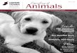 Speaking of Winter 2009 Animals - Humane Society .The Humane Society of Utah is dedicated to the