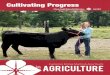Cultivating Progress - Farm Credit Midsouth · Cultivating Progress. A Farm Credit Midsouth Publication Fall 2013. ... In July the board met with senior management and the branch