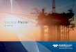 Teledyne Marine and Gas Market Brochure.pdf · Marine team is ready to take on your toughest challenges — all from a single supplier. Teledyne Technologies has an innovative heritage