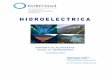 RAPORT de ACTIVITATE Dosar nr. 22456/3/ de activitate Hidro Octombrie - 2012.pdf  asemenea, a stabilit