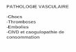 PATHOLOGIE VASCULAIRE -Chocs -Thromboses … · graves de cette pathologie ? Dossier n°2 . ... patient suivi pour une maladie coronarienne et qui présente un ... CIVD dans la micro-circulation