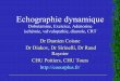 Echographie dynamique - Coeur Plus · • Valvulopathies • Insuffisance cardiaque – Diastole, CRT – HTAP . 3 ISCHEMIE ... Post-effort: Lee, Heart, 2005: IM sévères asymptomatiques