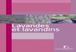 Lavandes et lavandins - luberongite.comluberongite.com/provence/wp-content/uploads/2015/05/livret_lavande.pdf · antiseptiques. Les produits cosmétiques En cosmétique, plusieurs