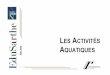 Les Activités aquatiques - · PDF fileActivités aquatiques - Equipe départementale EPS 1 - 72 5 R E GLES D’OR DES ACTIVITÉS AQUATIQUES Les activités aquatiques se caractérisent