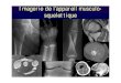 Imagerie de l’appareil musculo- squelettiquemyfiles.alessnet.com/MED 5/Radiologie/documents prof/Radio - 2... · Démonstrations d’Imagerie de l’Appareil Locomoteur (Dr B. Stallenberg)
