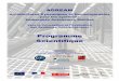 Programme Scientifique - LAAS-CNRS · Intérêt scientifique ... Optimisation et Commande ... Ce document décrit les principales facettes du projet scientifique volontairement ambitieux