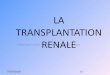 LA TRANSPLANTATION RENALE - AFICV - … · • Définition: L’insuffisance rénale est la perte irréversible des fonctions du rein. ... bistouri électrique lui est posée. 27/07/2010