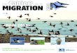 Les Cahiers de la Migration 2013 - … · Les Cahiers de la Migration 2013 2 2013, une année de transition. 2013 est une année un peu particulière : le nouveau Plan ... conséquence