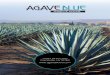 agave blue menu · 17097 Airline Hwy Prairieville, LA 70769  AGAVE BLUE TEQUILA & TACO BAR