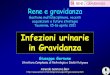 Infezioni urinarie in Gravidanza - .Infezioni urinarie in Gravidanza Giuseppe Gernone Struttura Complessa