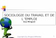 SOCIOLOGIE DU TRAVAIL ET DE L ’EMPLOI - …web.emn.fr/x-ssg/cv/minguet/Cours-socio-travail-emploi/... · termes d'avantages monétaires, ... individuel héroïque. R. ... rencontre