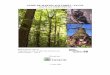 GUIDE DE MARTELAGE FORÊT - FAUNE - afm.qc.ca · Figure 1 : Diagramme des étapes de réalisation d’une intervention forêt-faune Projet # 1160405 Le groupe DESFOR Guide de martelage