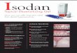 Isodan sellsheet redesign - Septodont USA · –Franquin, Dr. J.C., Faculté d’Odontologie de Marseille Rapport de recherche sur l’Isodan. Before After Before After Electron microscope