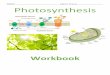 NAME: Option Group Photosynthesis · green seaweed, Ulva lactuca, and a red seaweed, Schizymenia dubyi, at different wavelengths of light. The relative rates of photosynthesis are