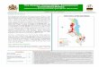 The Malawi Vulnerability Assessment VAC … · kota and Salima in the Central Region and Balaka, Blantyre, Chikhwawa, Chiradzulu, Pha-lombe, Machinga, Mangochi, Mwanza, Neno,Nsanje