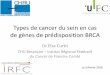 Types de cancer du sein en cas de mutation BRCA · Types de cancer du sein en cas de gènes de prédisposition BRCA Dr Elsa Curtit CHU Besançon – Institut Régional Fédératif
