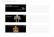 Anantomie du squelette - cesaemspbp2014.hautetfort.comcesaemspbp2014.hautetfort.com/media/02/00/3051061621.pdf · Ostéologie Anatomie du squelette Jeannot AKAKPO CESA ... Les os