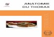 ANATOMIE DU THORAX - anatomie.univ-catholille.franatomie.univ-catholille.fr/wp-content/uploads/2017/01/Thorax-2.0.pdf · ANATOMIE DU THORAX Moulage en cire représentant une dissection