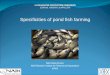 Specificities of pond fish farming - halaszat.kormany.huhalaszat.kormany.hu/download/8/a6/32000/presentation_V4_HKB... · The special fish pond ecosystem • Fishponds has artificial