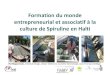 Formation Ferme artisanale de Culture de Spiruline - … · 2017-06-04 · Formation du monde entrepreneurial et associatif à la culture de Spiruline en Haïti CUBIA Pol Magermans,